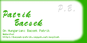 patrik bacsek business card